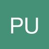 pullmann1